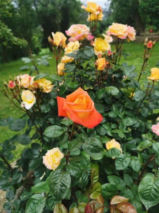 La Flor De Toranzo "Vive Los Valles Pasiegos" Prases Kültér fotó