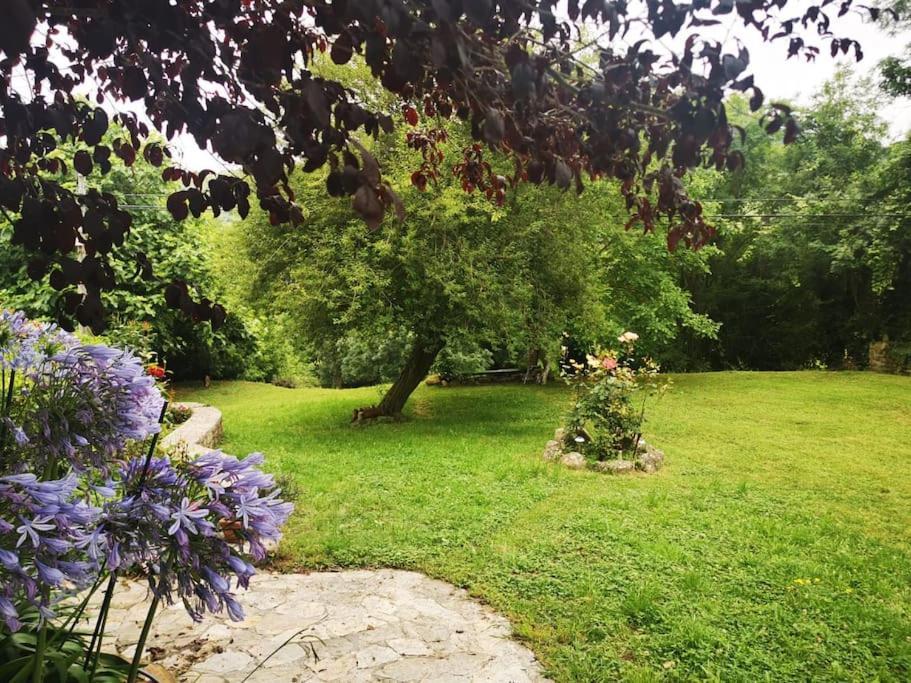La Flor De Toranzo "Vive Los Valles Pasiegos" Prases Kültér fotó