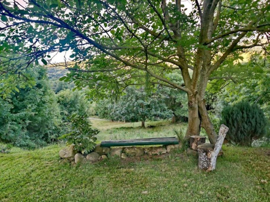 La Flor De Toranzo "Vive Los Valles Pasiegos" Prases Kültér fotó